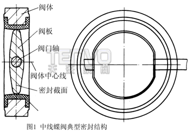 中線蝶閥典型密封結(jié)構(gòu)